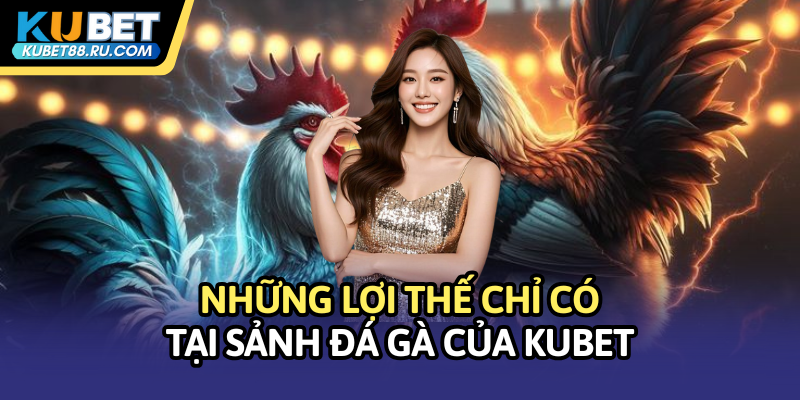Những lợi thế chỉ có tại sảnh đá gà của Kubet