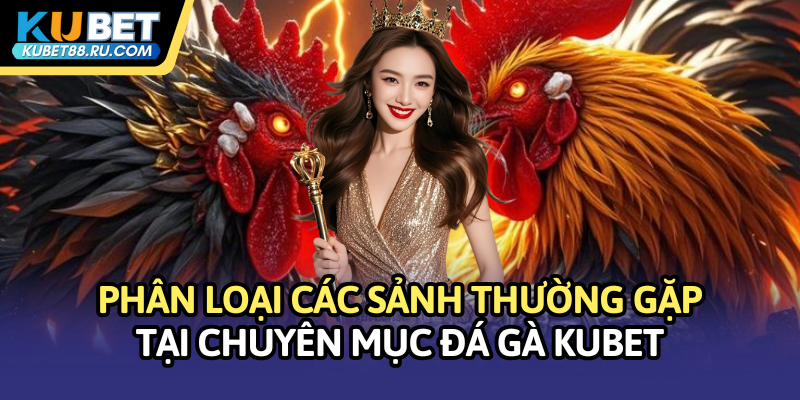 Phân loại các sảnh thường gặp tại chuyên mục Đá gà Kubet